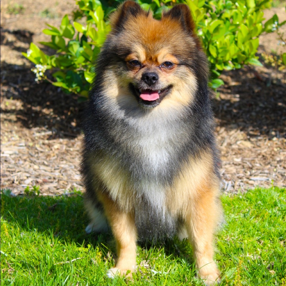 Meet your Posher, Karla